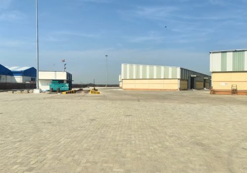 Empty Yard and Reefer Management